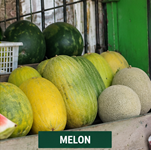 Melon